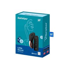 Satisfyer Little Secret Panty Vibrator - Dreamy Desire