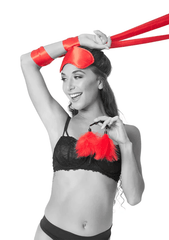 Sportsheets S&M Amor Bondage Beginner Kit - Dreamy Desire