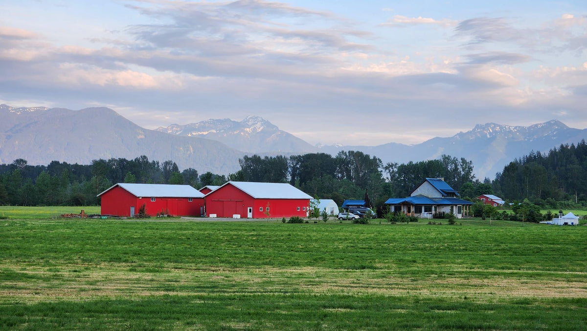 Farm in the Fraser Valley with mountains behind