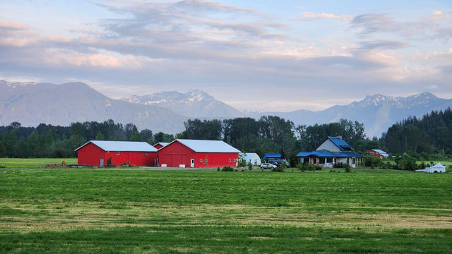Farm in the Fraser Valley with mountains behind