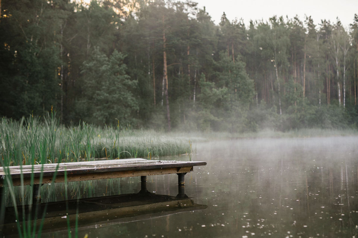 Wooden dock on a calm lake lined with green trees