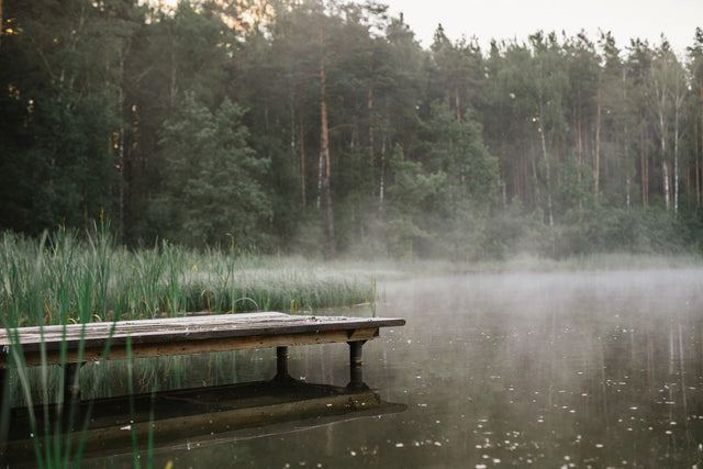 Wooden dock on a calm lake lined with green trees