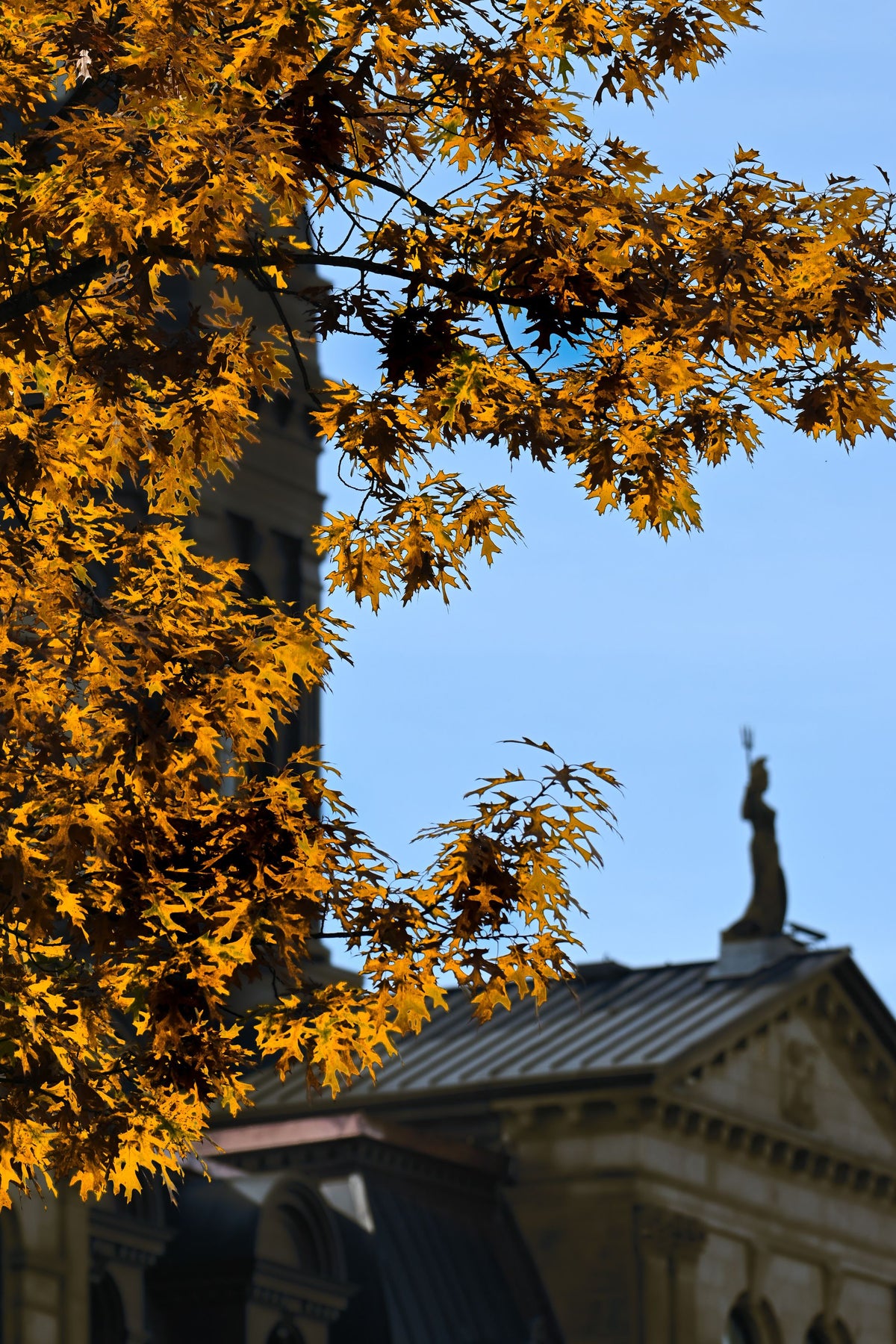 Autumn leaves and historic buildings in Fredericton, New Brunswick