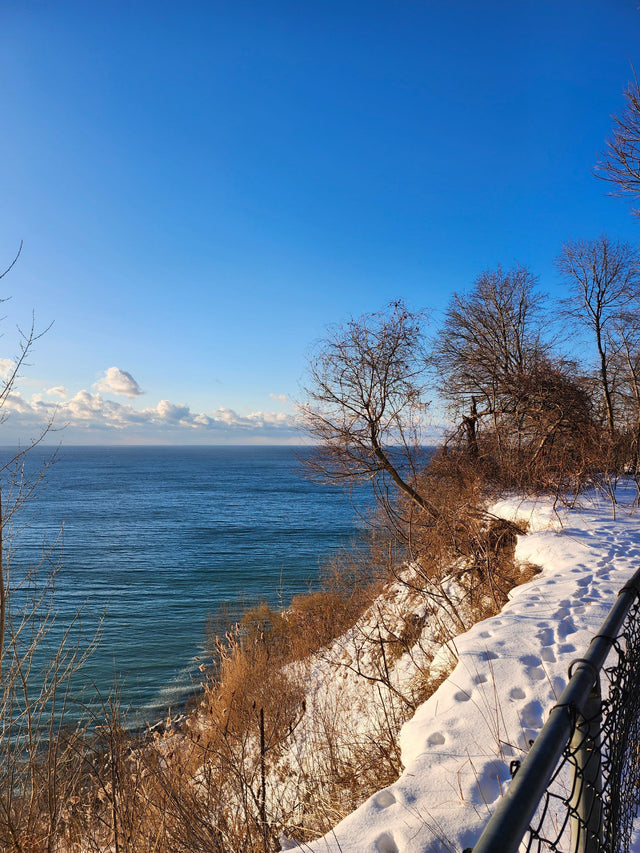 Snowy Lake Ontario shoreline in winter