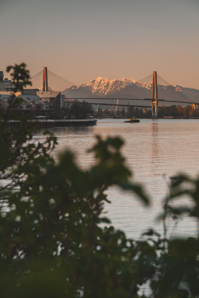 The Golden Ears Bridge over the Fraser River at sunset
