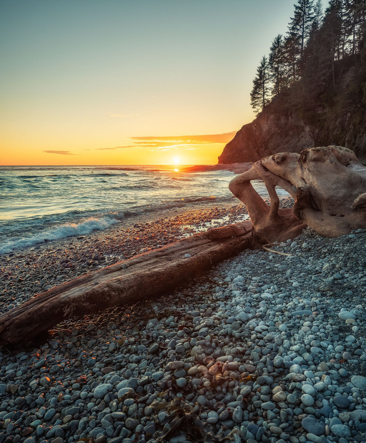 Driftwood on a seashore at sunset