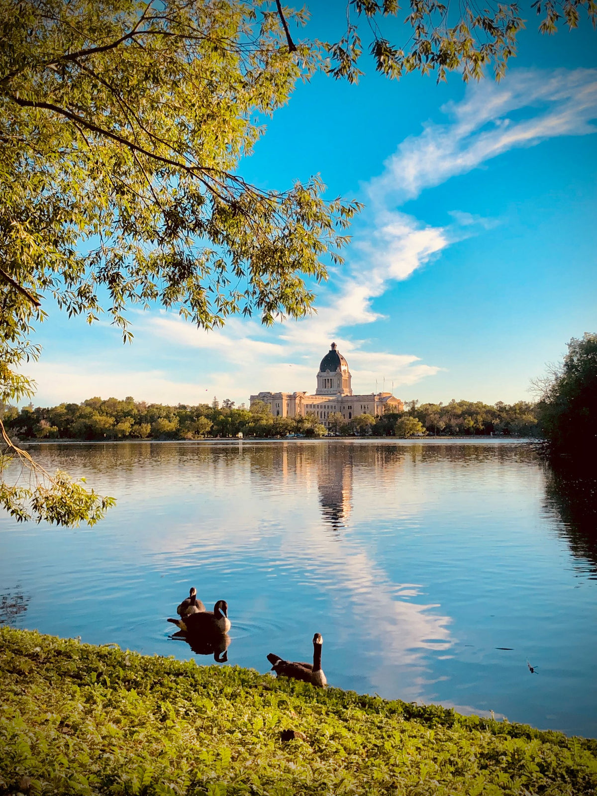 The Saskatchewan Legislative Building reflected in the lake in Regina