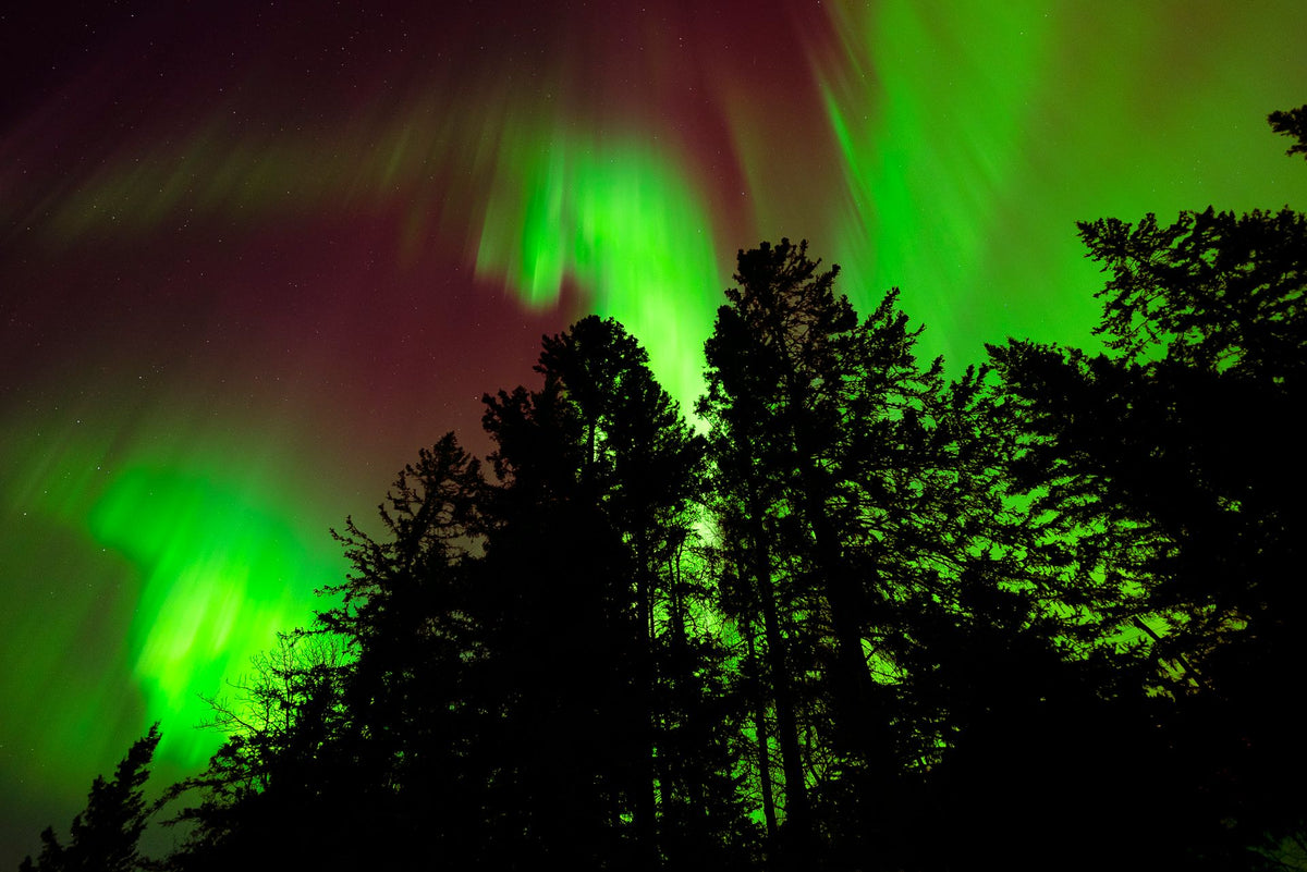 Northern lights over the forest at Riding Mountain in western Manitoba