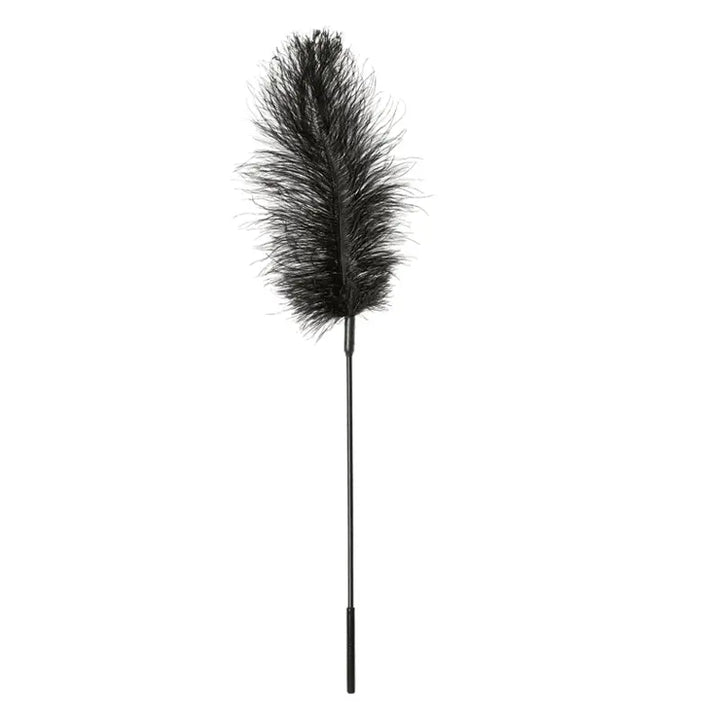 Ostrich Tickler, Black - Dreamy Desire
