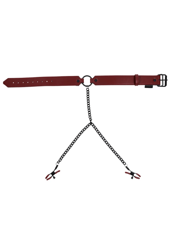 Sportsheets BDSM Saffron Collar with Nipple Clamps