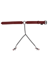 Sportsheets Saffron Collar with Nipple Clamps - Dreamy Desire