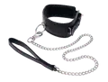 Sportsheets Edge Collar & Leash - Dreamy Desire