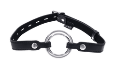 Sportsheets Edge Interchangeable Ring Gag - Dreamy Desire