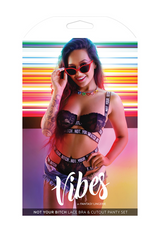 Vibes by Fantasy Lingerie packaging for Not Your Bitch Lace Bra and Cutout Panty Set