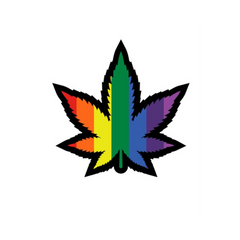 Wood Rocket rainbow enamel weed leaf pin with bold black outline and multicolor pride stripes