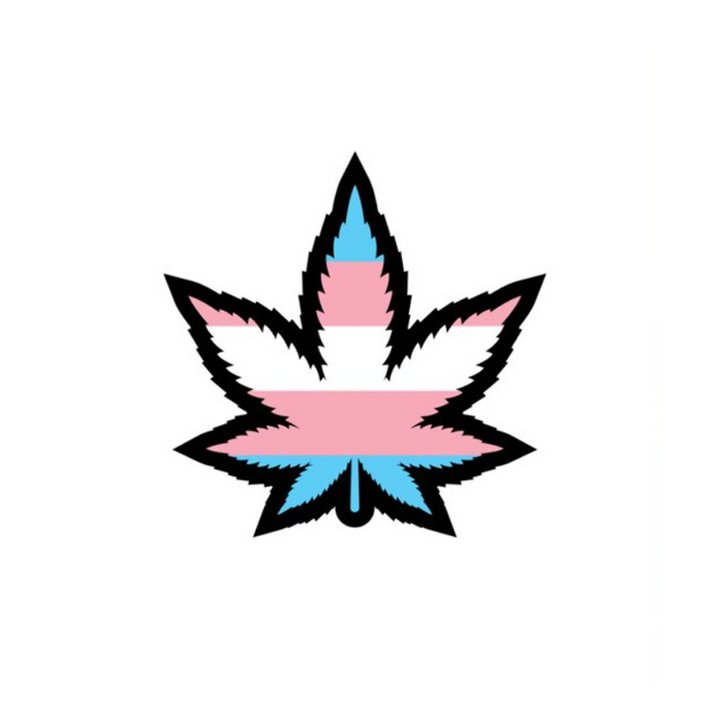 Wood Rocket trans pride weed leaf enamel pin with blue, pink, and white stripe design